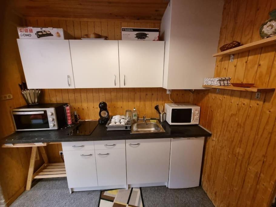 Studio 4 Couchages Dans Un Chalet Tout Confort Chamrousse Kültér fotó
